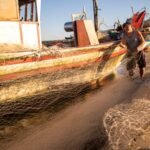 Secretaria de Pesca e Aquicultura de SJB reforça chamamento para realização do Raep