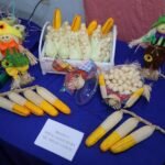 Inscrições abertas para o IV Festival Junino de Comidas Típicas